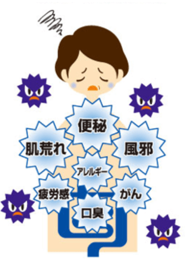腸内環境