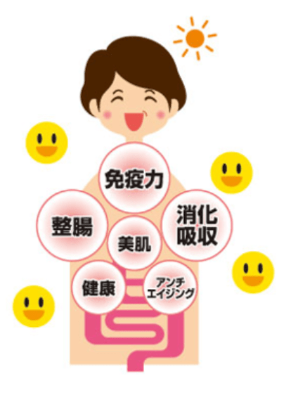 腸内環境